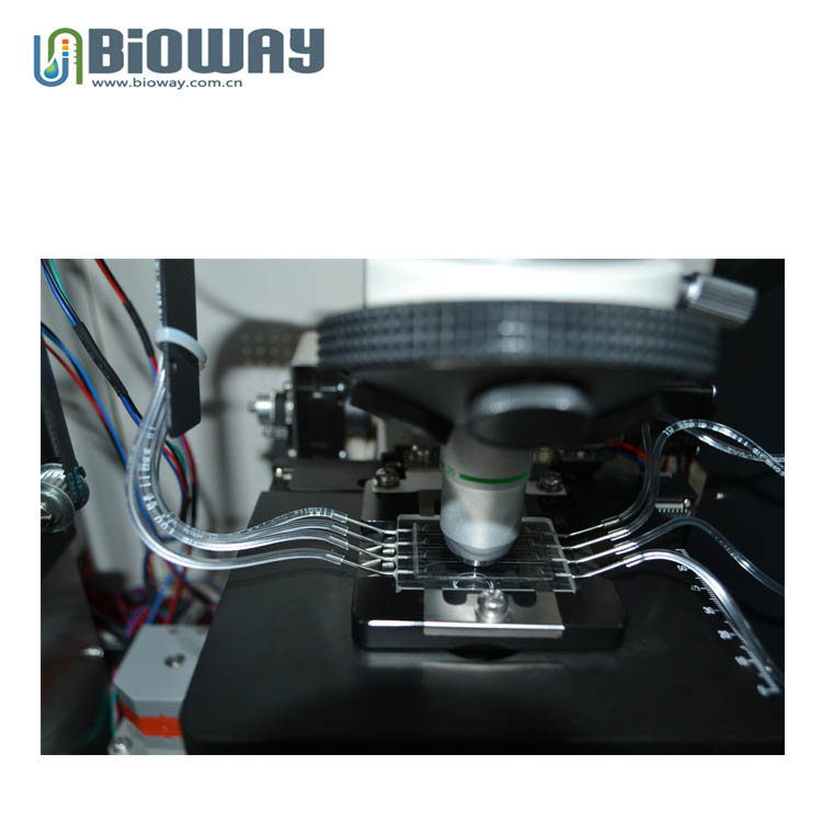 Bioway BW-3000 Urine Sediment Analyzer view 4