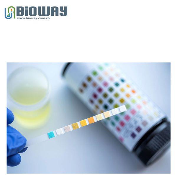 Bioway Urine Test Strips view 3